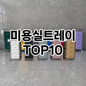 미용실트레이 추천 순위  TOP10 구매가이드 2025년 7월 3주차