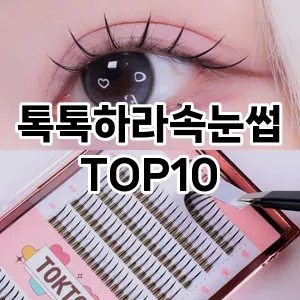 톡톡하라속눈썹 추천 순위  TOP10 구매가이드 2025년 7월 4주차